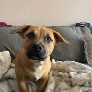 Meet your Posher, Jay